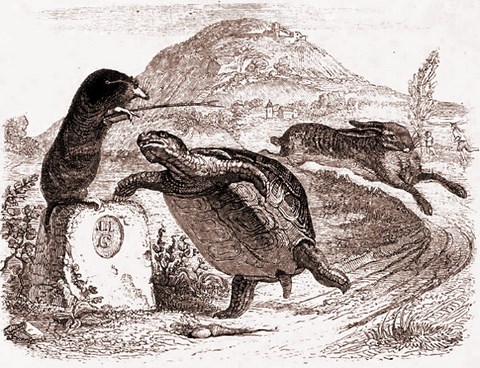 lievre-tortue.jpg