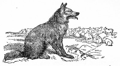 The_Wolf_and_the_Shepherd.jpg