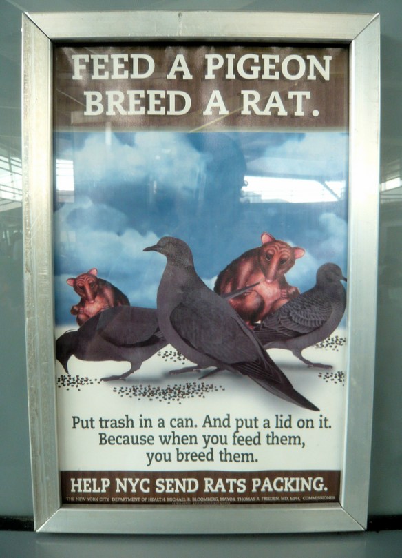 2605341187_e48000eee4_b