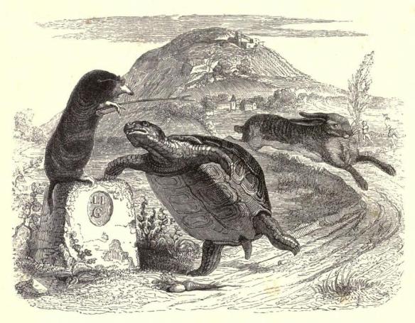 Grandville_tortoise & the hare.jpg