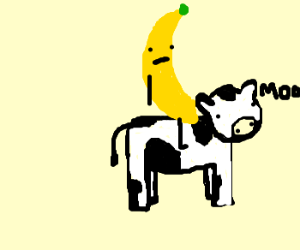 Cow And The Banana.png