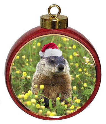 groundhog day ornament.jpg