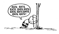 peanuts_rats
