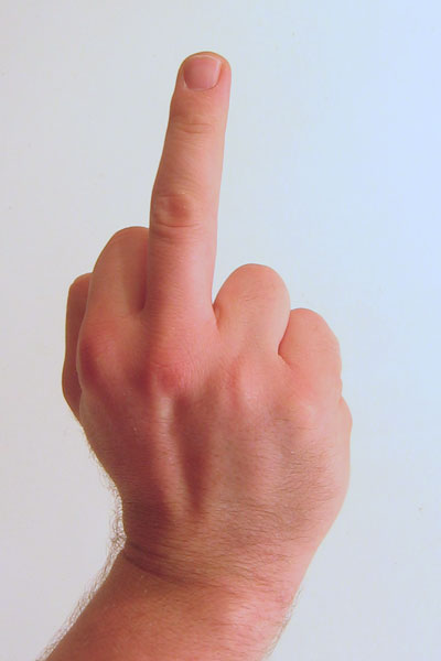 gesture_raised_fist_with_middle_finger_lifted