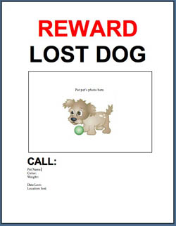 Lost-dog-flyer