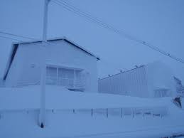 snow white antarctica