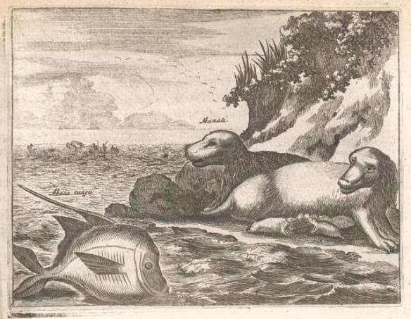 beasts-peculiar-to-hispaniola-e84c98-640