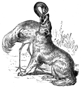 549px-Page_33_illustration_to_Three_hundred_Aesop's_fables_(Townshend)